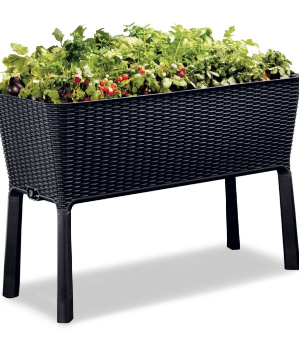 Kenyen 1 - Piece Stylish Elevated Garden Bed Planter with Drainage Tap